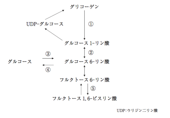 解説画像